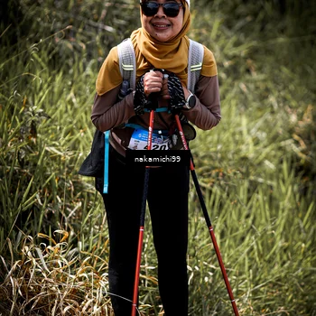 Runner Photo 5545071