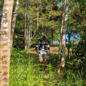 Runner Photo 5551