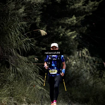 Runner Photo 5553324