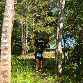 Runner Photo 5554