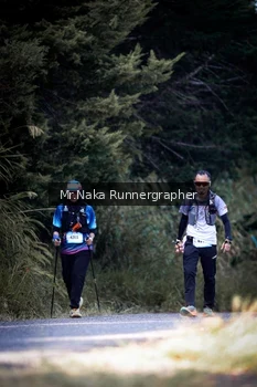Runner Photo 5555311