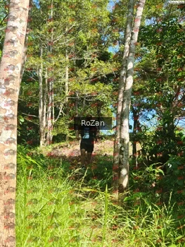 Runner Photo 5556
