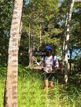 Runner Photo 5562