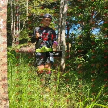 Runner Photo 5572