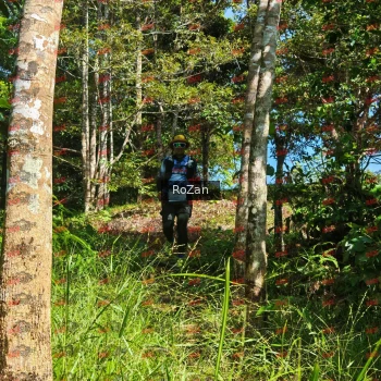 Runner Photo 5573