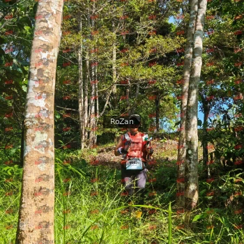 Runner Photo 5577