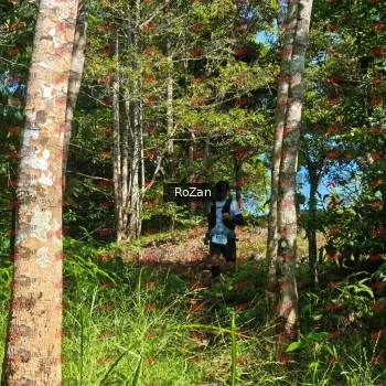 Runner Photo 5579