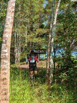 Runner Photo 5590