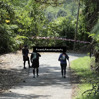 Runner Photo 5593361