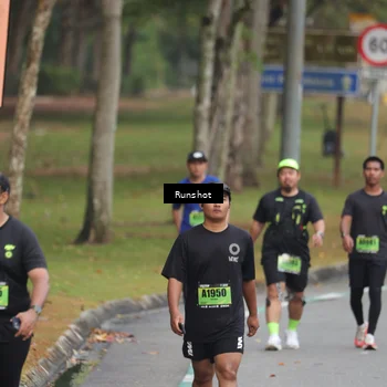 Runner Photo 5596152