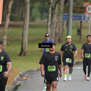 Runner Photo 5596155