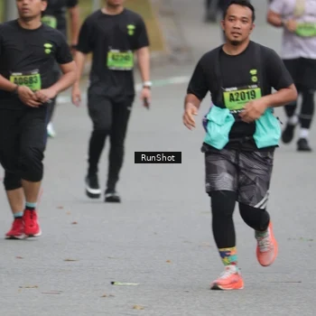Runner Photo 5596851