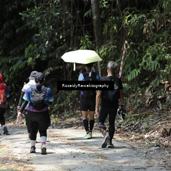 Runner Photo 5597327
