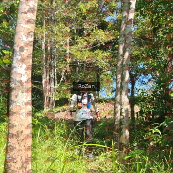Runner Photo 5598