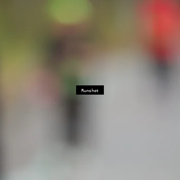 Runner Photo 5598196