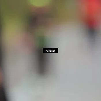 Runner Photo 5598198