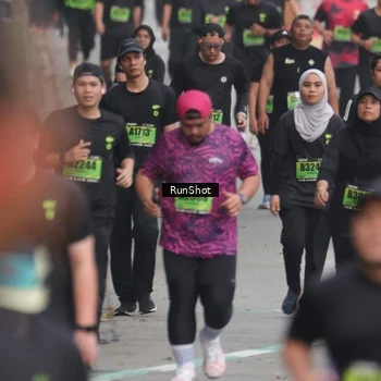 Runner Photo 5598806