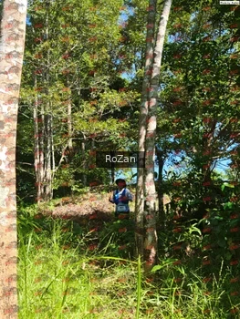Runner Photo 5600