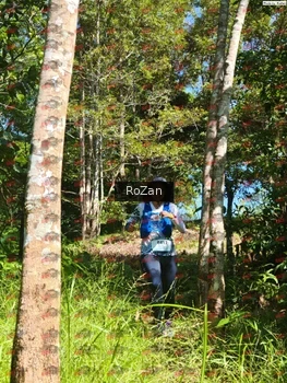Runner Photo 5602
