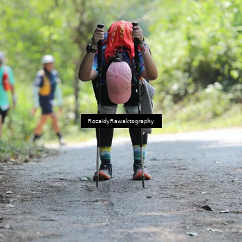 Runner Photo 5602043