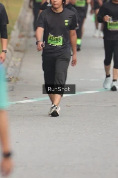 Runner Photo 5602559
