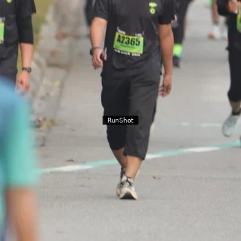 Runner Photo 5602563
