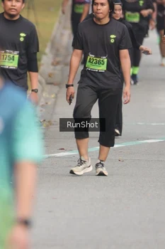 Runner Photo 5602572