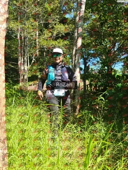 Runner Photo 5604