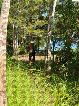 Runner Photo 5610