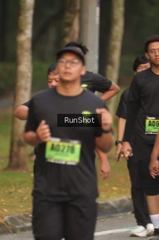 Runner Photo 5611393