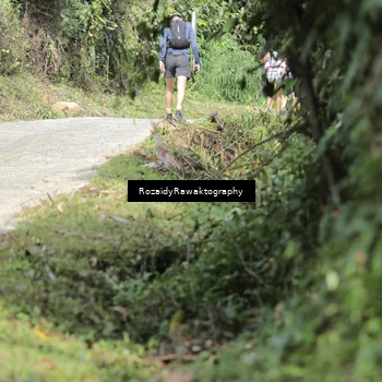 Runner Photo 5611863