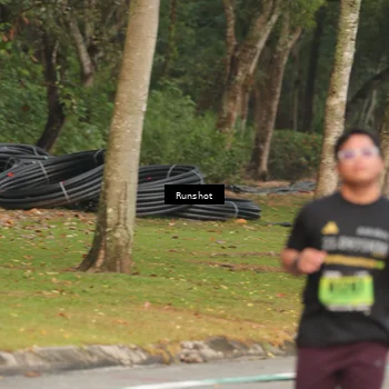 Runner Photo 5612383