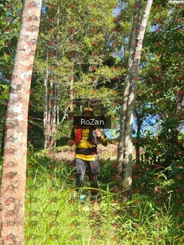 Runner Photo 5617