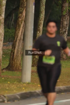 Runner Photo 5620541