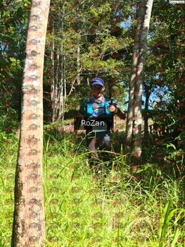 Runner Photo 5621