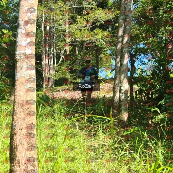 Runner Photo 5622
