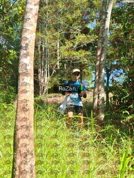 Runner Photo 5623