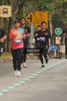 Runner Photo 5623124
