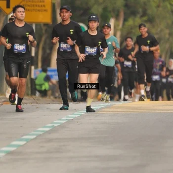 Runner Photo 5623448
