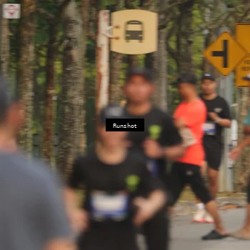 Runner Photo 5623759