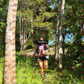Runner Photo 5626