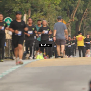 Runner Photo 5626017