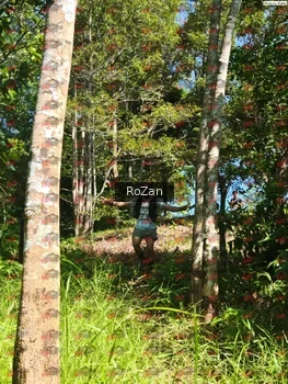 Runner Photo 5628