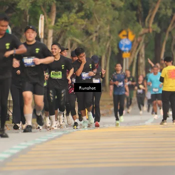 Runner Photo 5628511