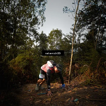 Runner Photo 5628570