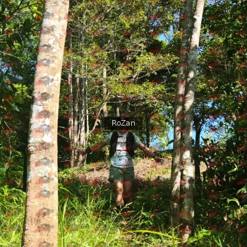 Runner Photo 5629