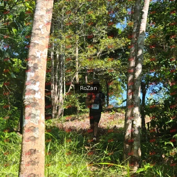 Runner Photo 5630