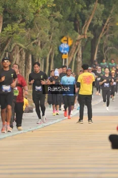 Runner Photo 5630949