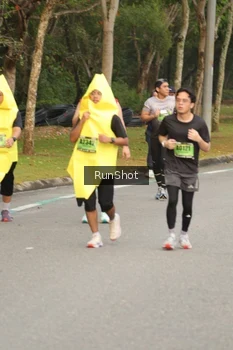 Runner Photo 5631835