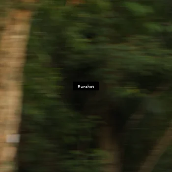 Runner Photo 5633561